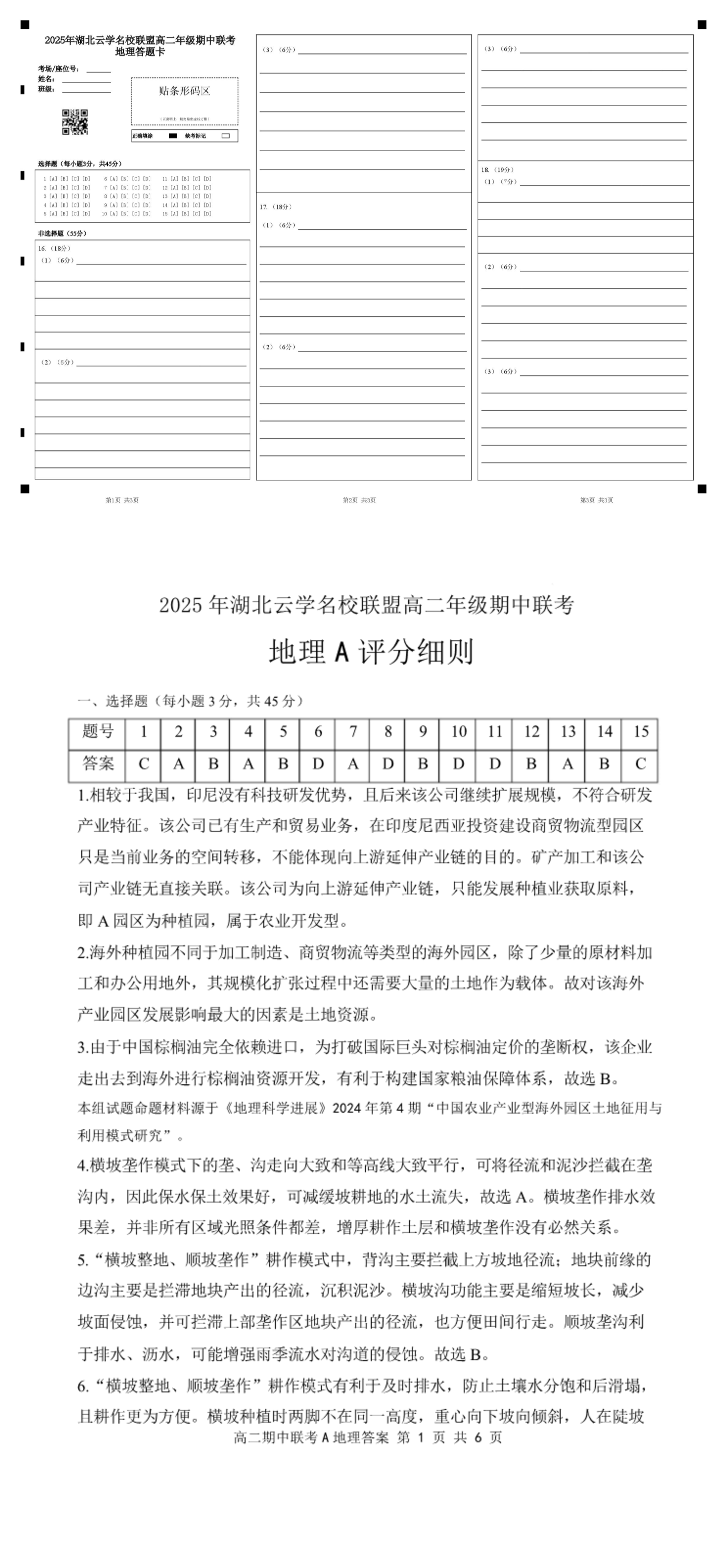 缩略图